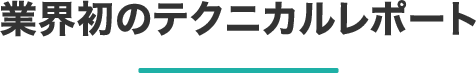 業界初のテクニカルレポート