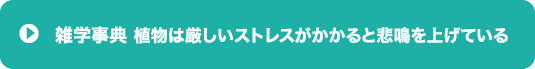 『植物は激しいストレスがかかると悲鳴を上げている』事が判明。